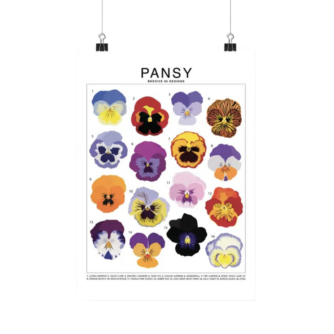 Pansy Species Id Chart - Botanical Floral Art Print