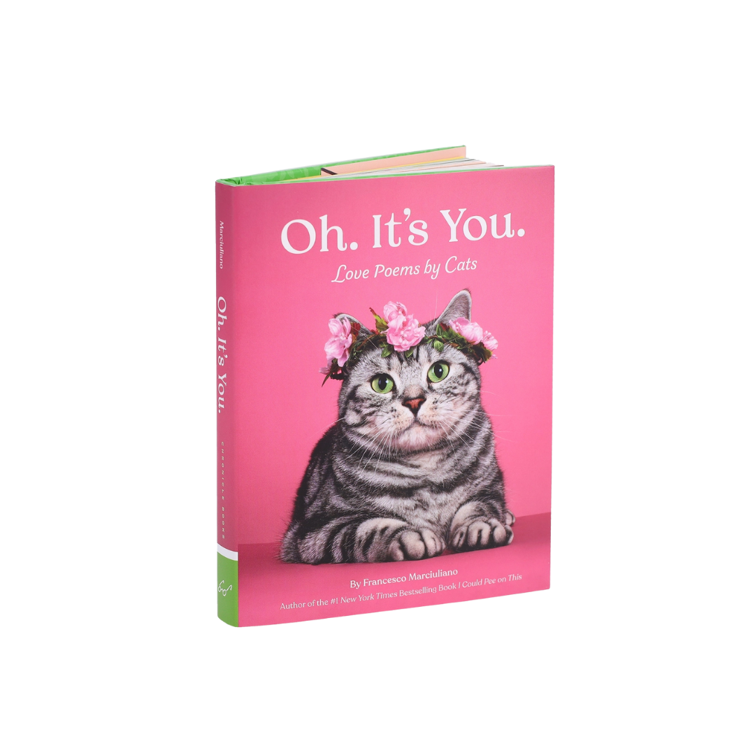 Oh. It's You. Love Poems By Cats