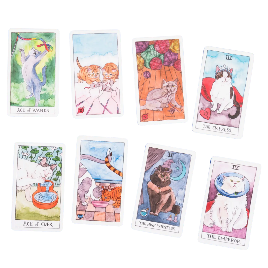 Cat Tarot