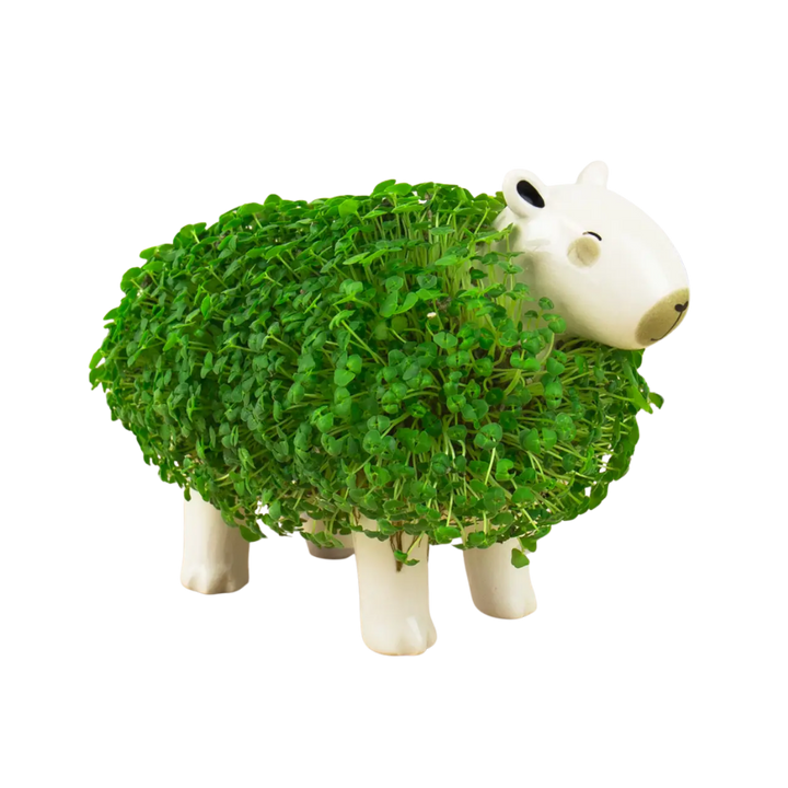 Capybara Chia Planter