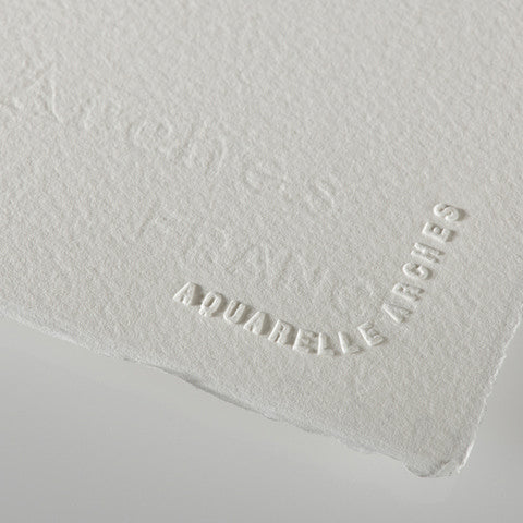 Professional Watercolor Paper Sheets 22x30"