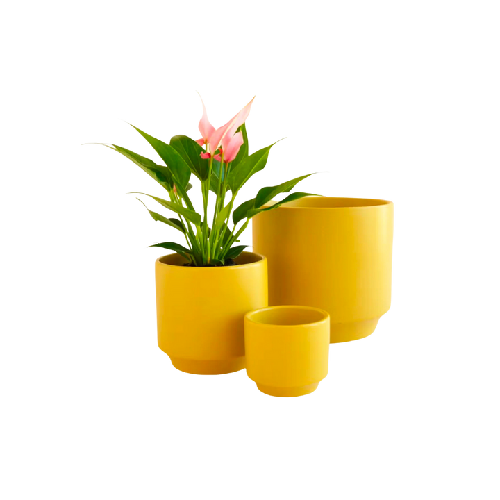 Parker Planter