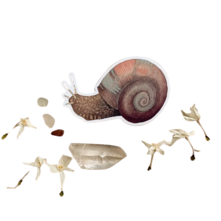 Snail - Sticker
