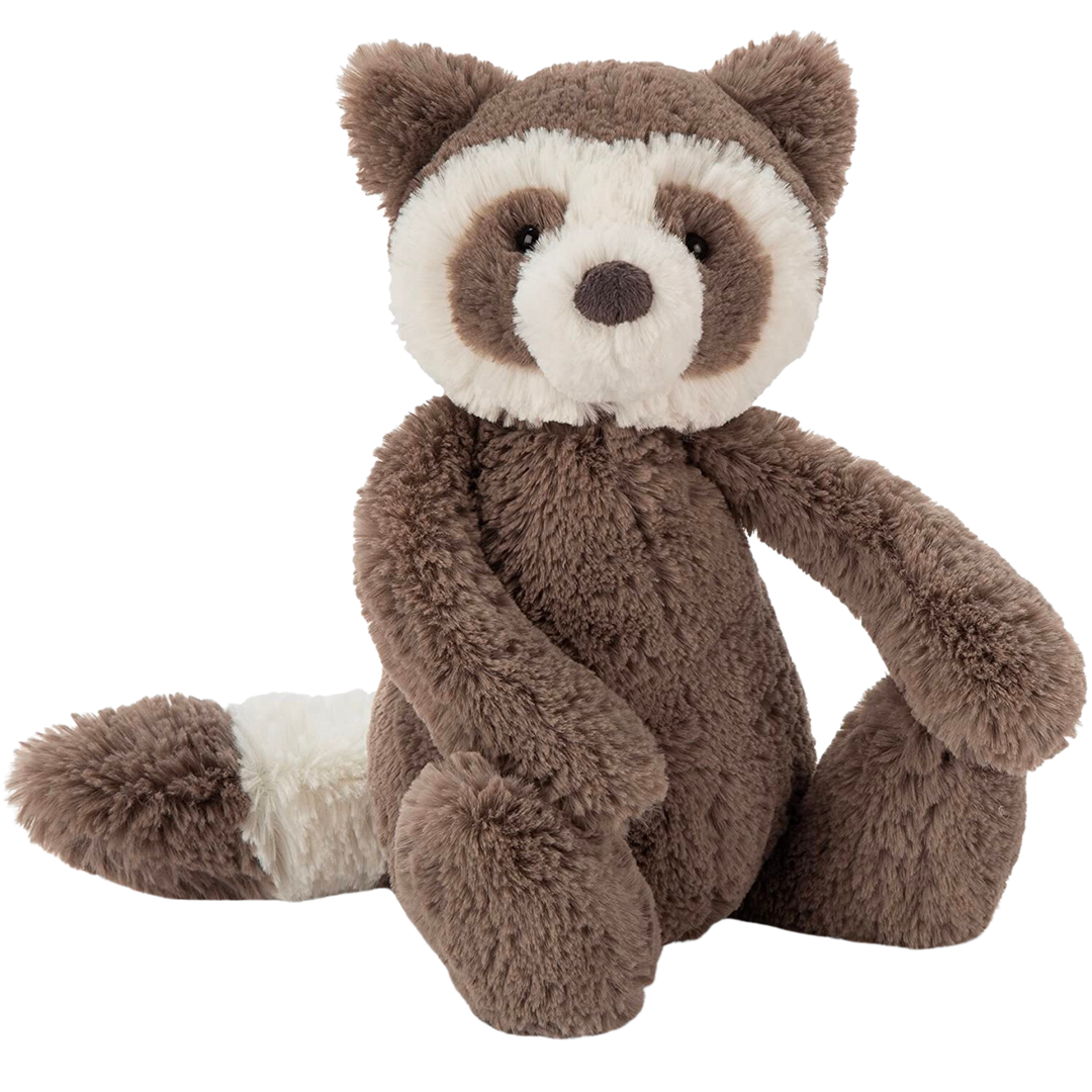 Bashful Raccoon