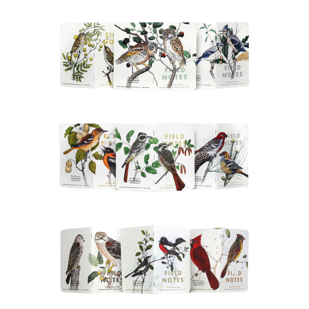 Birds and Trees of North America Field Notes- Pack A: Screech Owl, Blue Jay, Brewer Sparrow