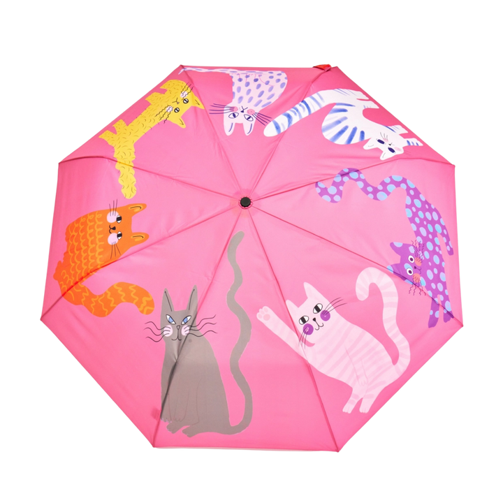 Compact Duck Umbrella