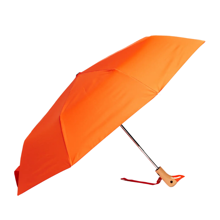 Compact Duck Umbrella