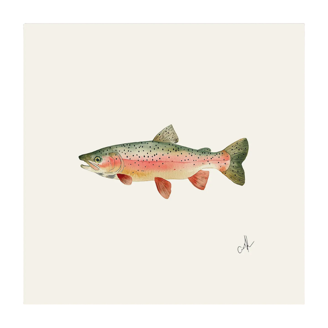 Rainbow Trout - Unframed Art Print