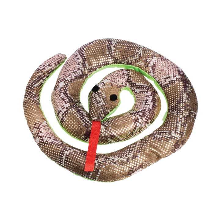 Reptile Sand Animals