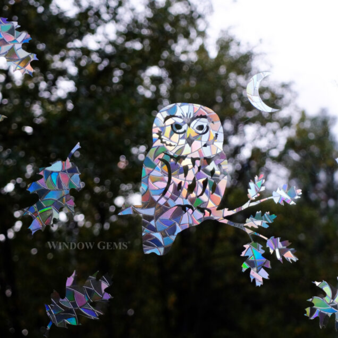 Prismatic Saw-Whet Owl Window Clings (11ct)