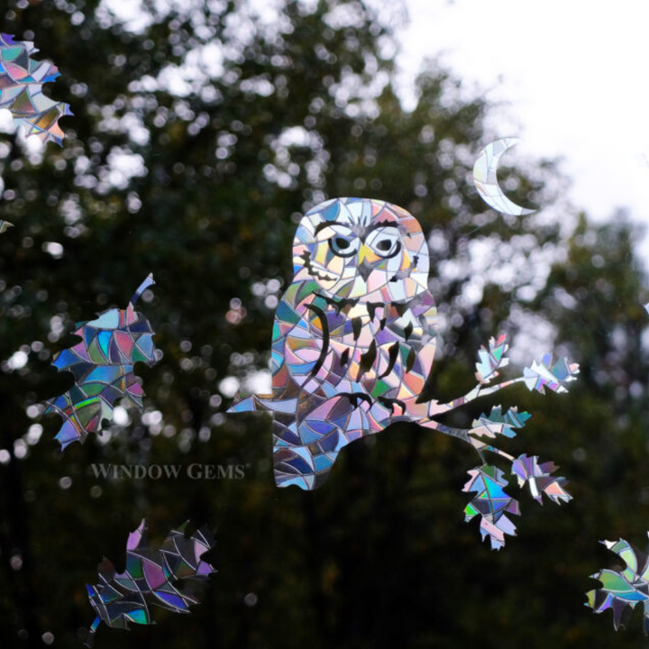 Prismatic Saw-Whet Owl Window Clings (11ct)