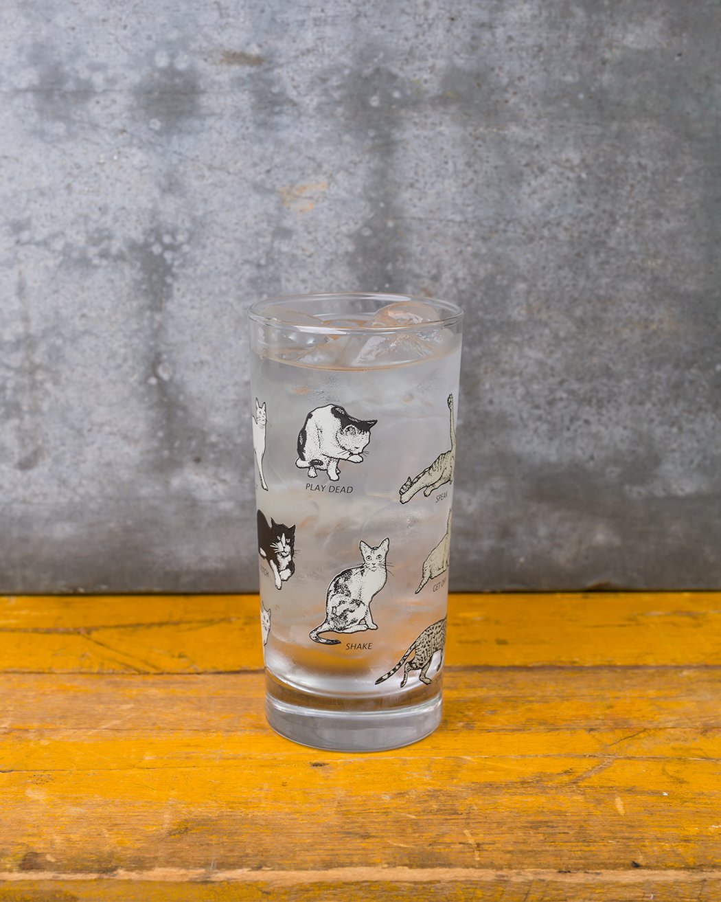 Black and White Cats Glass