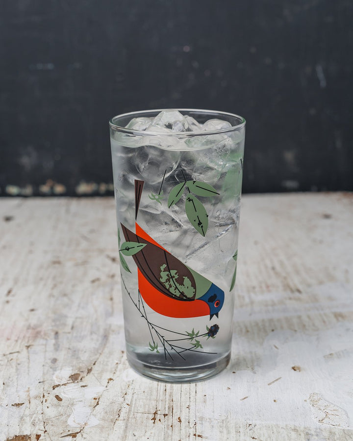 Painted Bunting Drinking Glass