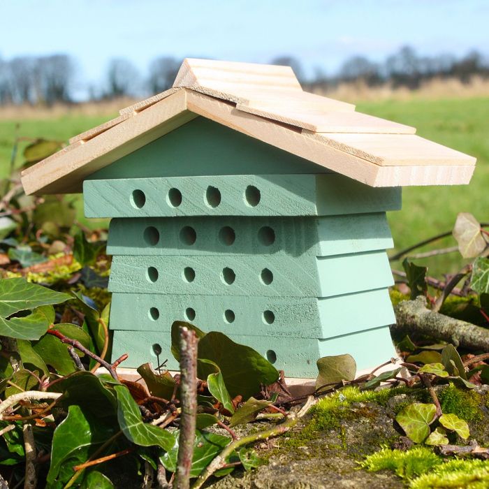 Beverston Bee House
