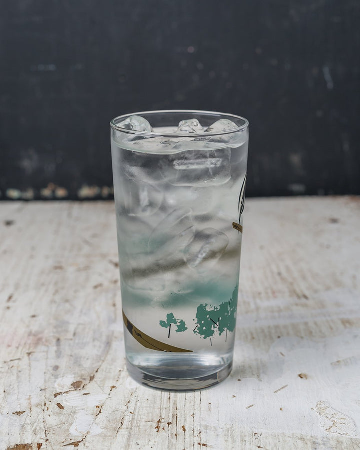 B&W Warbler Drinking Glass