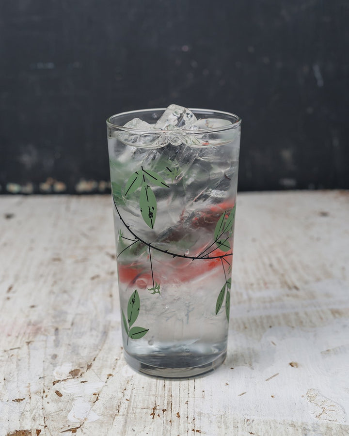 Painted Bunting Drinking Glass