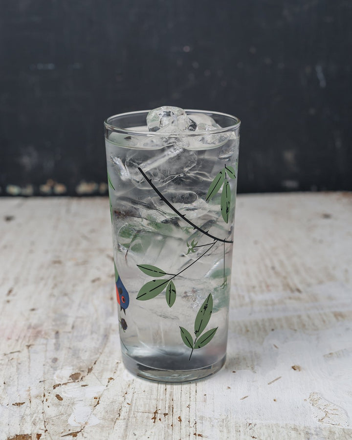 Painted Bunting Drinking Glass