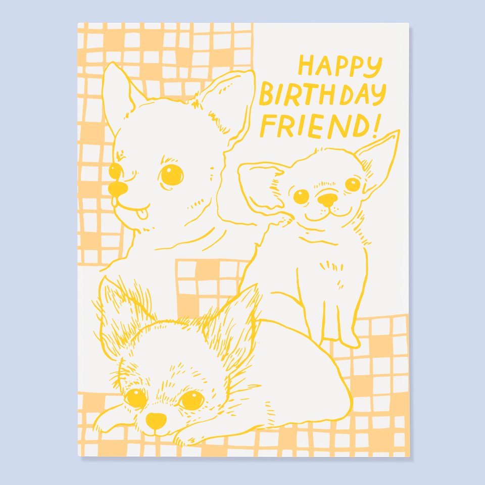 Chihuahua Bday