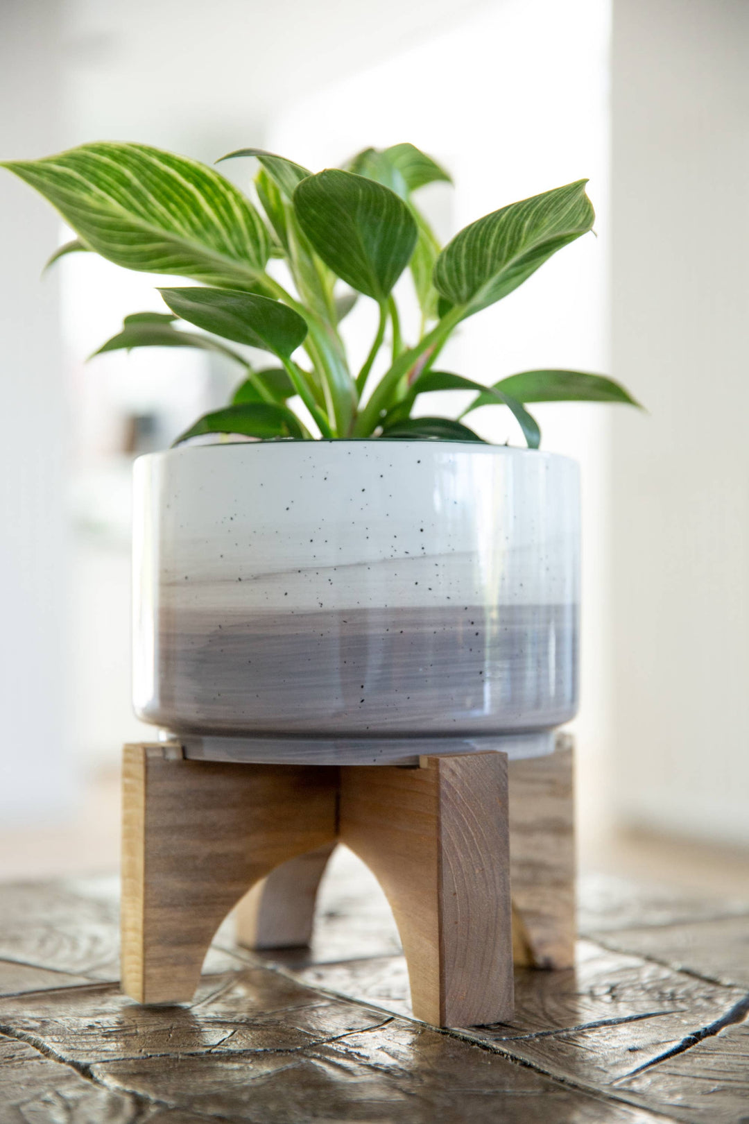 7" Grey Ombre Ceramic Planter with Wooden Stand