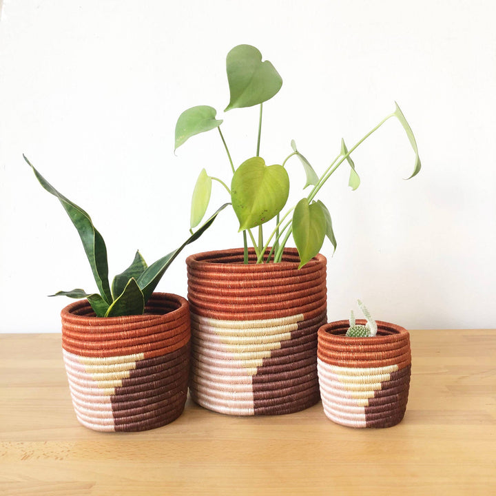 Gishamvu Basket Planter