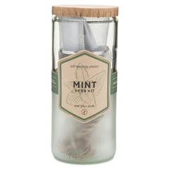 ECO PLANTER - ORGANIC MINT