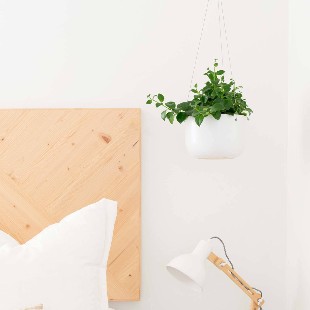 White Hanging Ceramic Planter