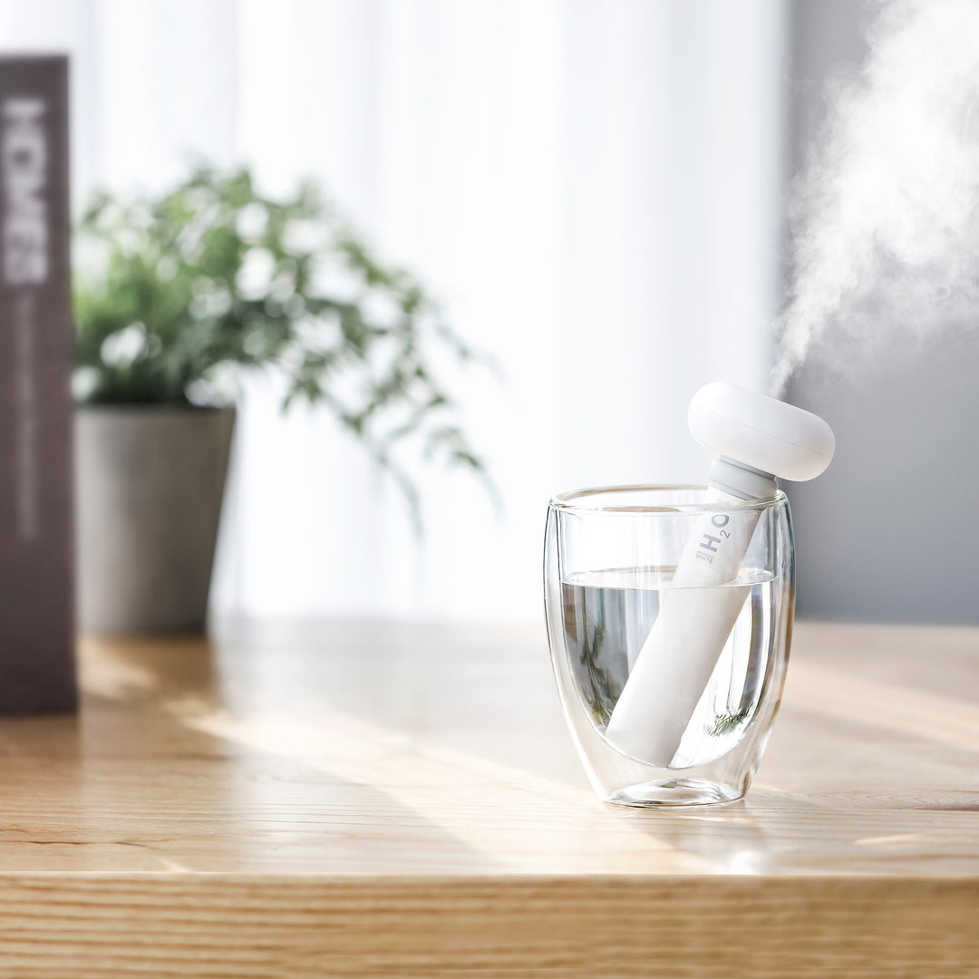 USB Ultrasonic Cool Mist Humidifier and Bottle Kit