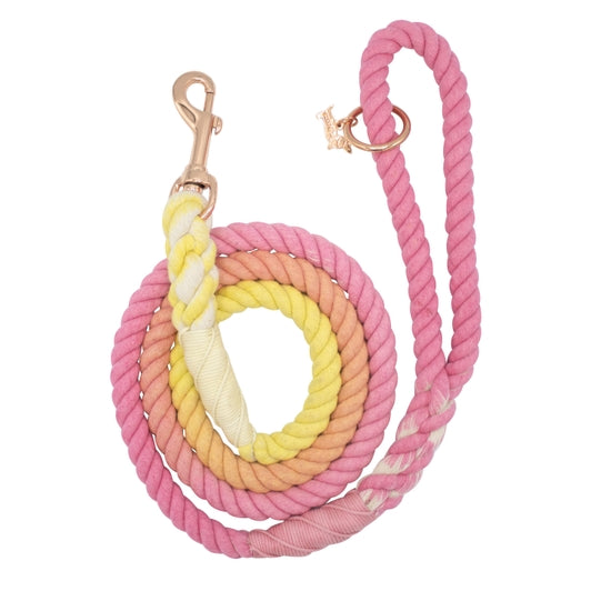 Sunkissed Dog Rope Leash