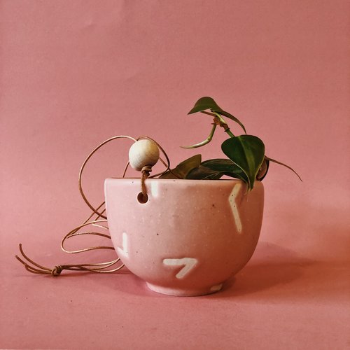 Hanging Plant Pot