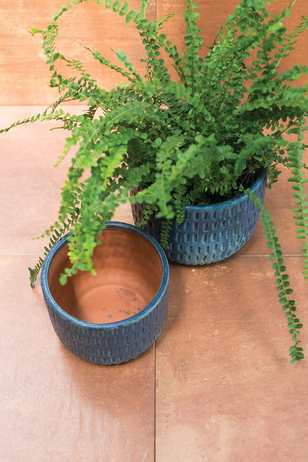 Demi Pot