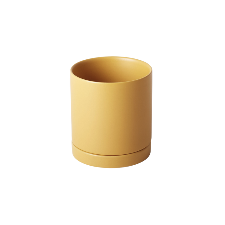 Romey Pot Mustard (Ochre)