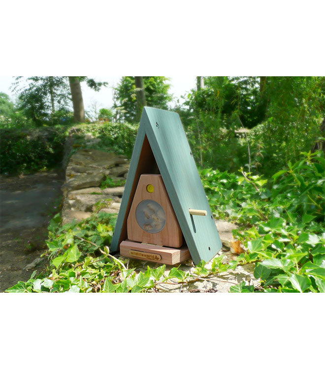 Butterfly House & Feeder