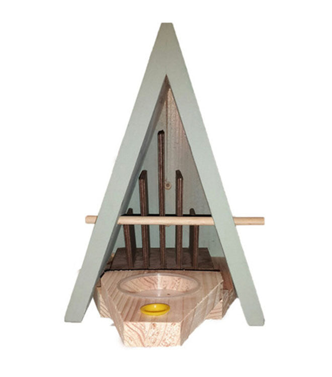 Butterfly House & Feeder