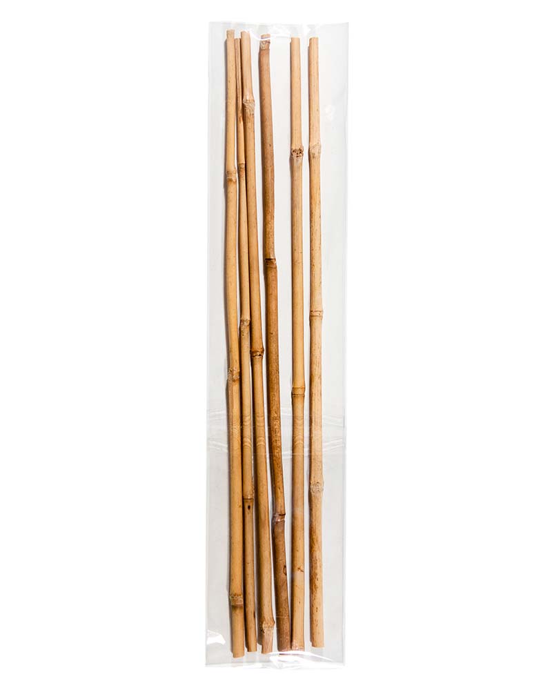 Bamboo Plant Stakes