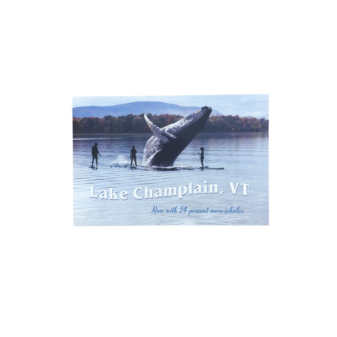 Vermont Lake Champlain Whales Postcard
