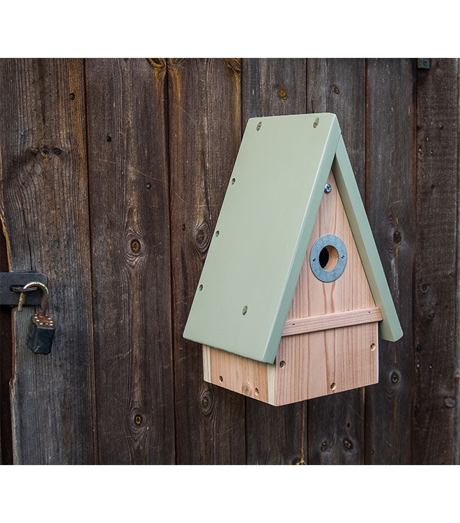 Multi-Species Bird Box
