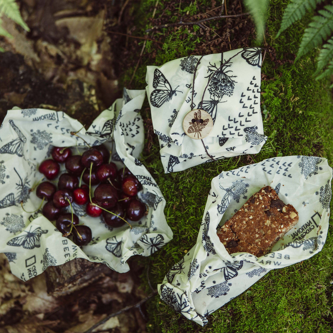 Explorer Pack In National Geographic Print  Bee's Wrap