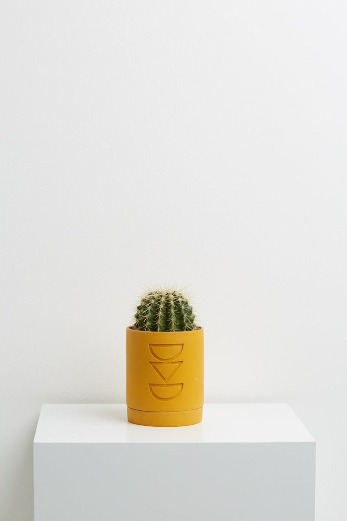 Etch Planter