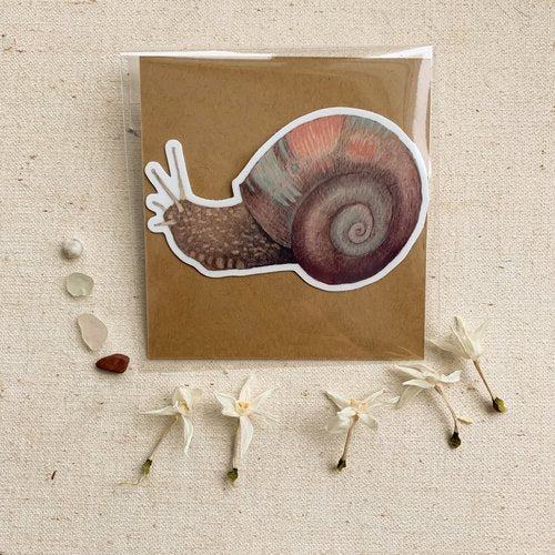 Snail - Sticker
