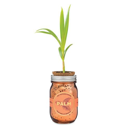 GARDEN JAR - PALM PINT