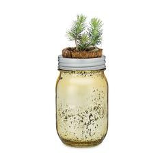 GARDEN JAR - SPRUCE PINT