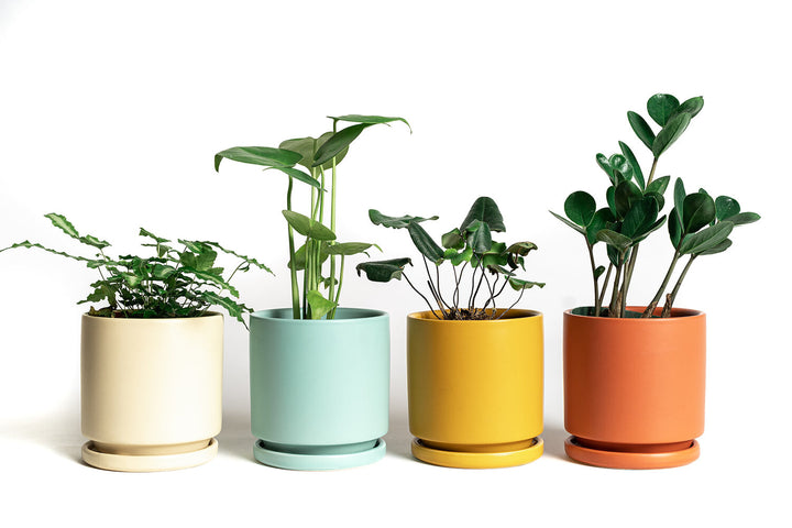 6.25" Cylinder Pots with Water Tray