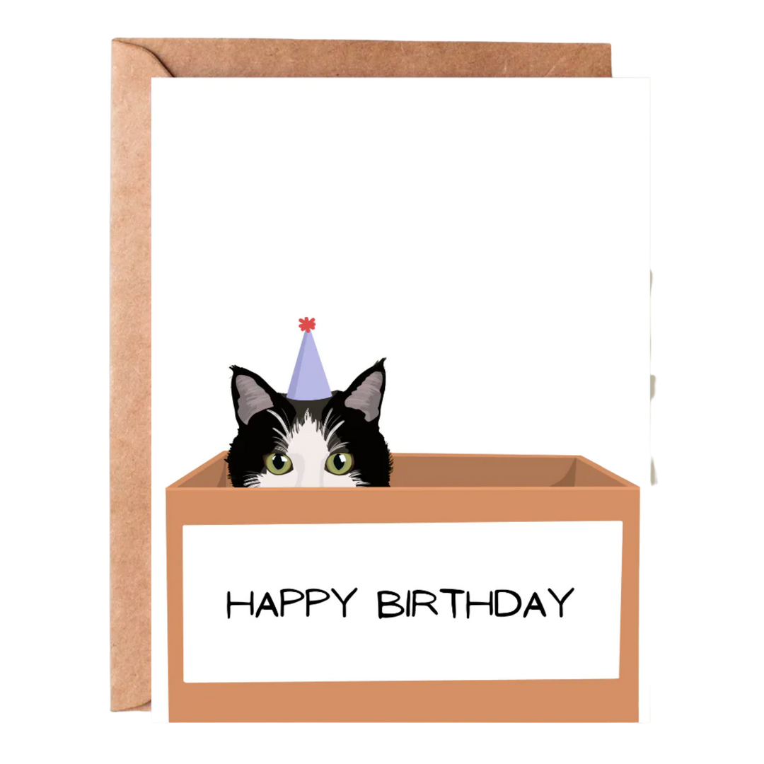Birthday Cat Greeting Card