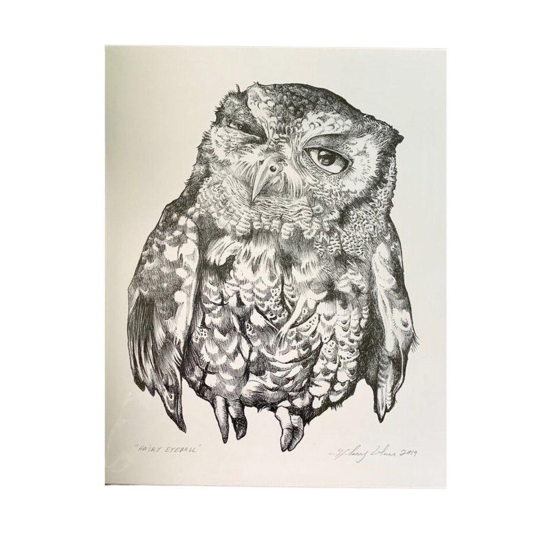 Hairy Eyeball Screech Owl Print
