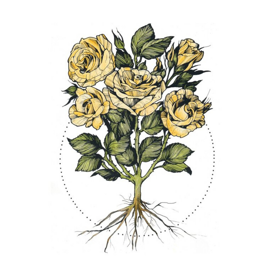 Roses Print