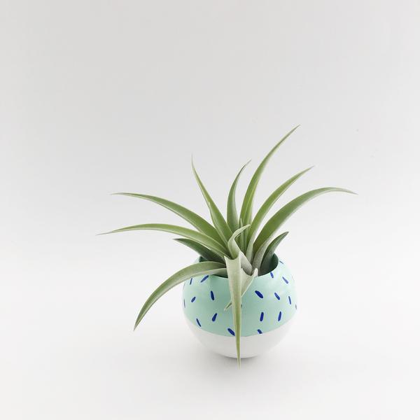 Mini Sphere Planter- Mint/White with Cobalt Confetti