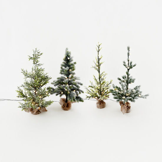 Small Snowy Lighted Tree