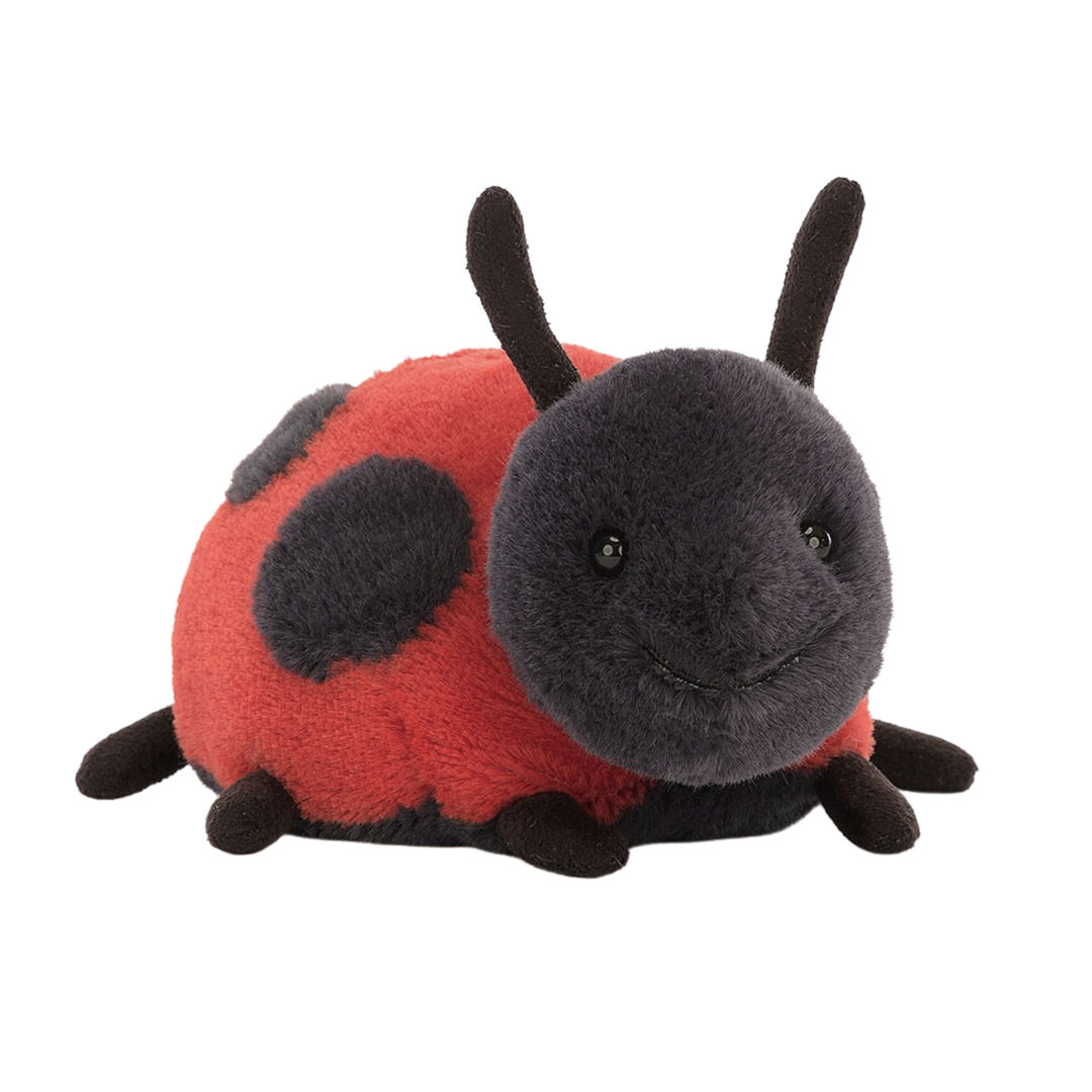 Layla Ladybird Ladybug