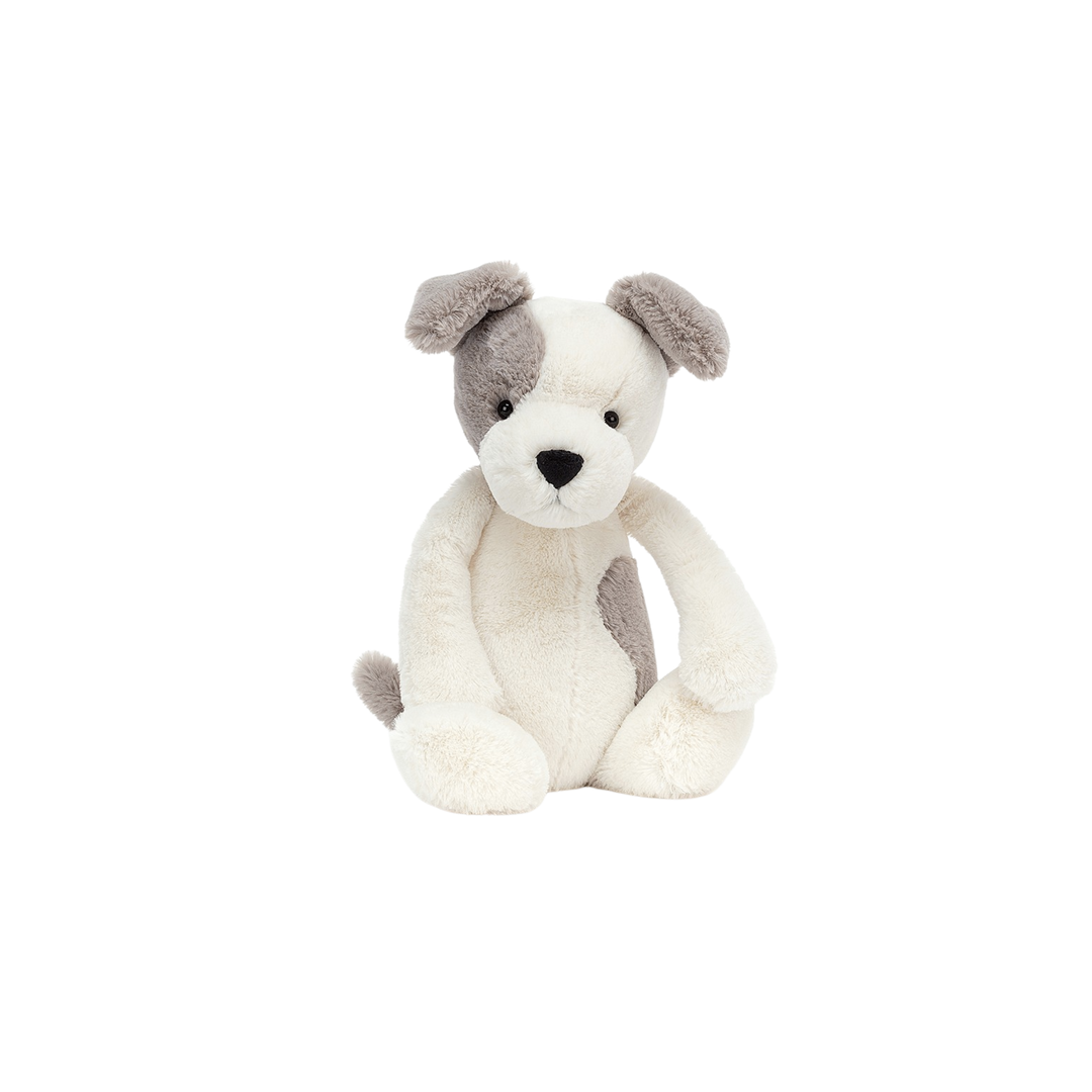 Bashful Terrier
