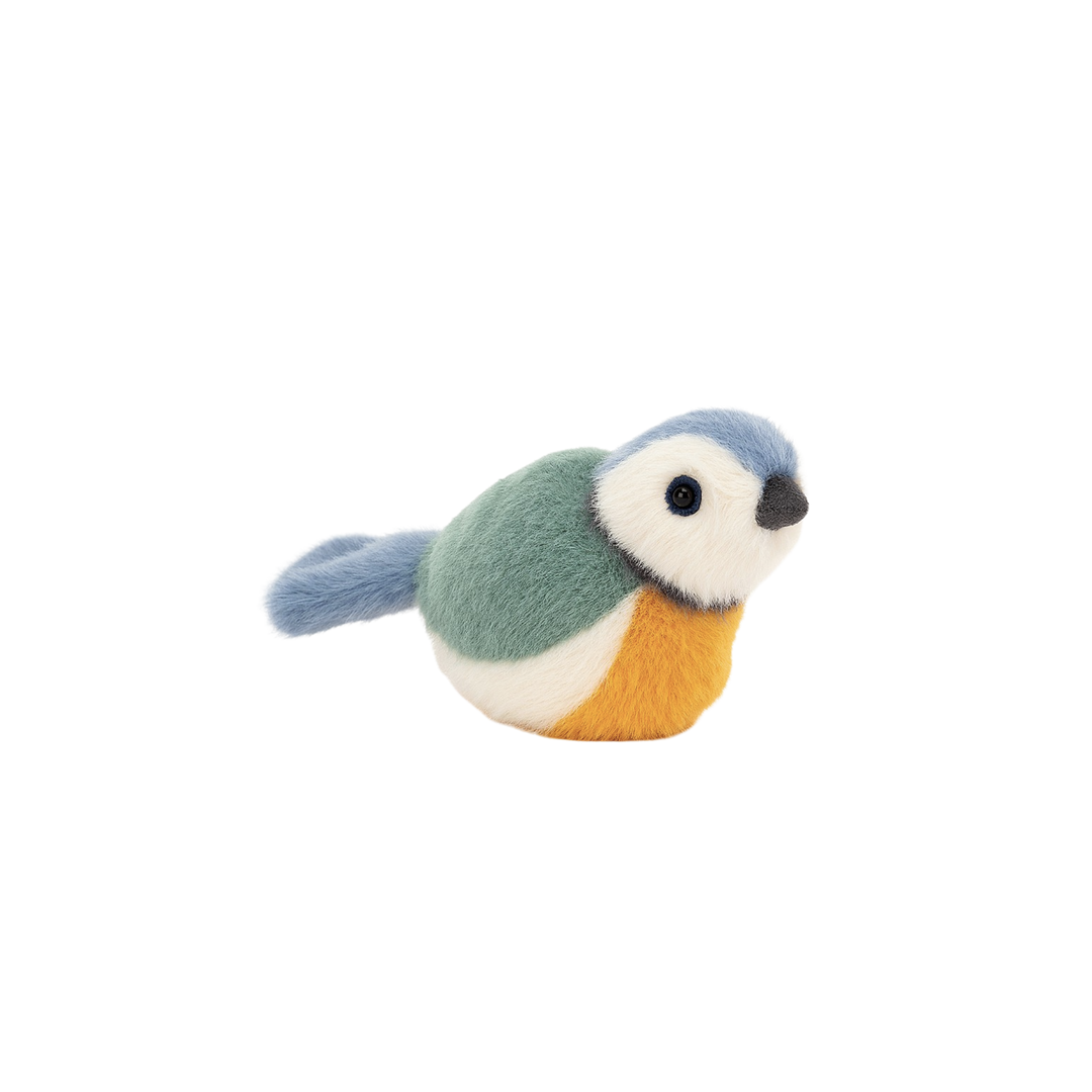 Birdling Blue Tit